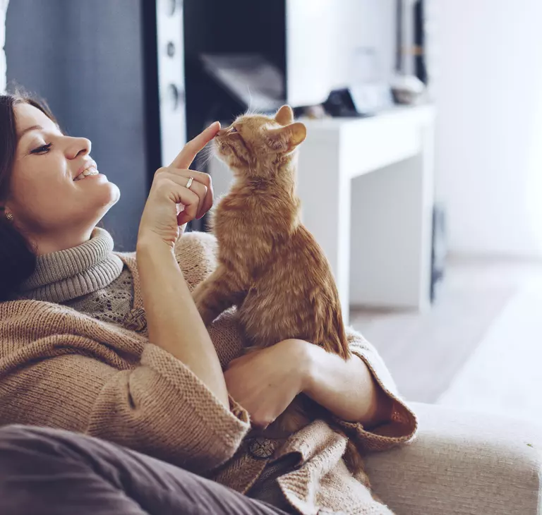 Healthy air - woman on couch