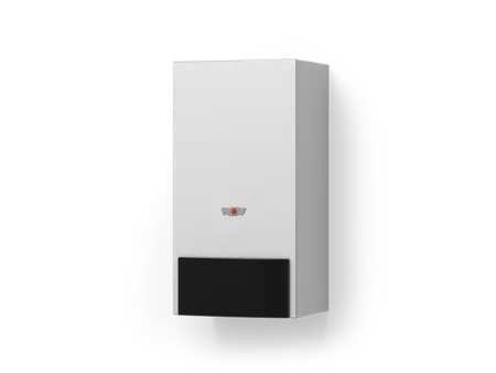 WOLF Gas calorific value boiler CGU