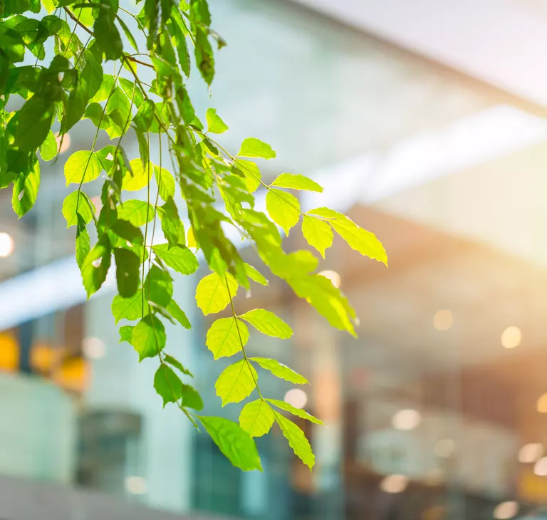 Przyjazny dla środowiska