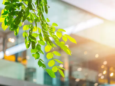 Environmentally friendly