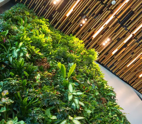 Project: Heat pump and solar thermal