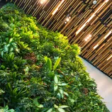 New multi-family house - heat pump with solar thermal energy