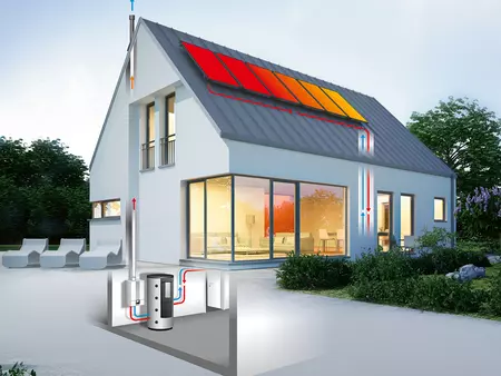 WOLF Cross-section House