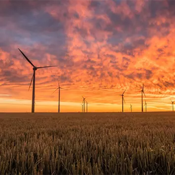 Windräder in der Natur