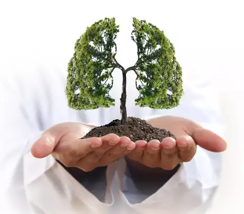 Energieeffiziente Heizungen