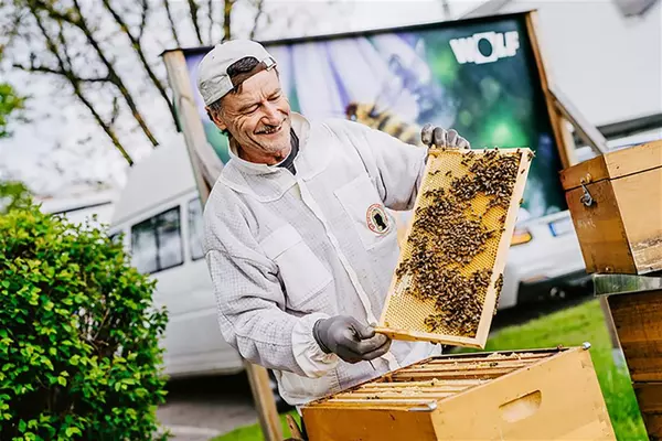 Imker mit Bienenwaben