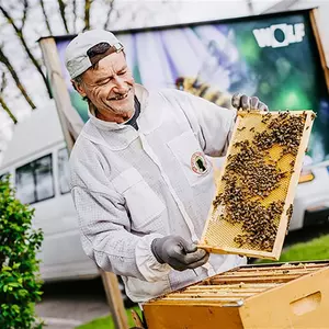 Imker mit Bienenwaben
