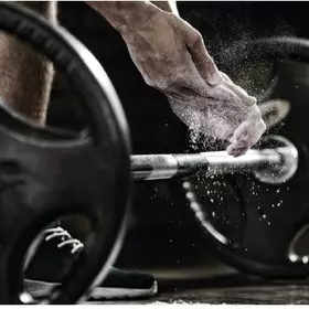 WOLF WOLF 2 Leistung