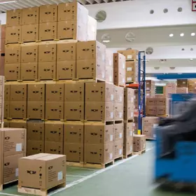 WOLF Gasthermen CGB 75 8