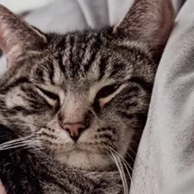 WOLF Wohnraumlueftung Punkt 2 CWL 2 