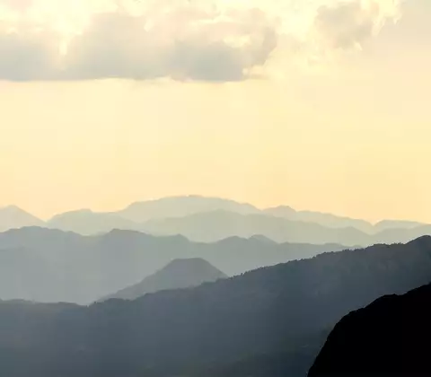 Wolf Stage Partnerklassen