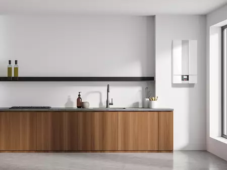 Sistemas WOLF híbridos y Espacios sostenibles. Generación por aerotermia y condensación de gas/gasóleo 